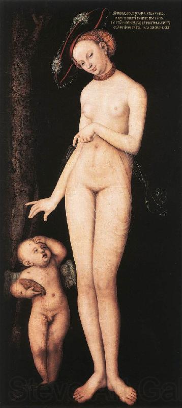 CRANACH, Lucas the Elder Venus and Cupid dsf Norge oil painting art